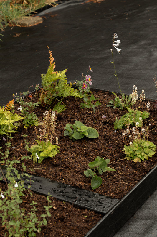 Borderpakket Schaduw & halfschaduw