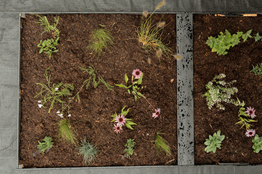 Borderpakket Kan wel wat hebben