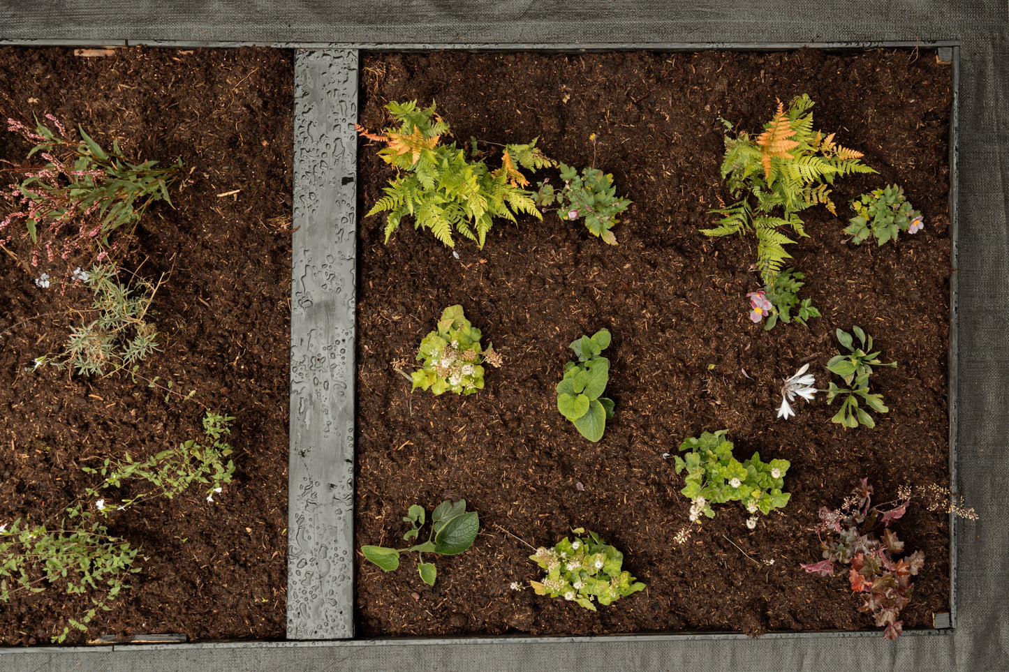 Borderpakket Schaduw & halfschaduw