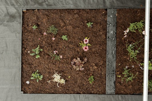 Borderpakket Kleurrijk