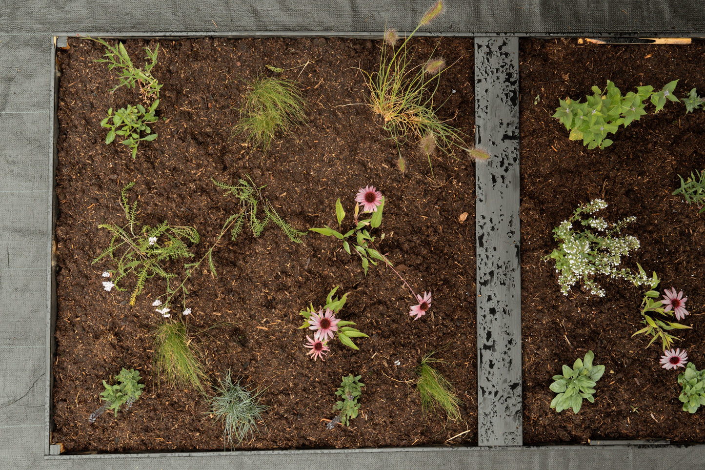 Borderpakket Kan wel wat hebben