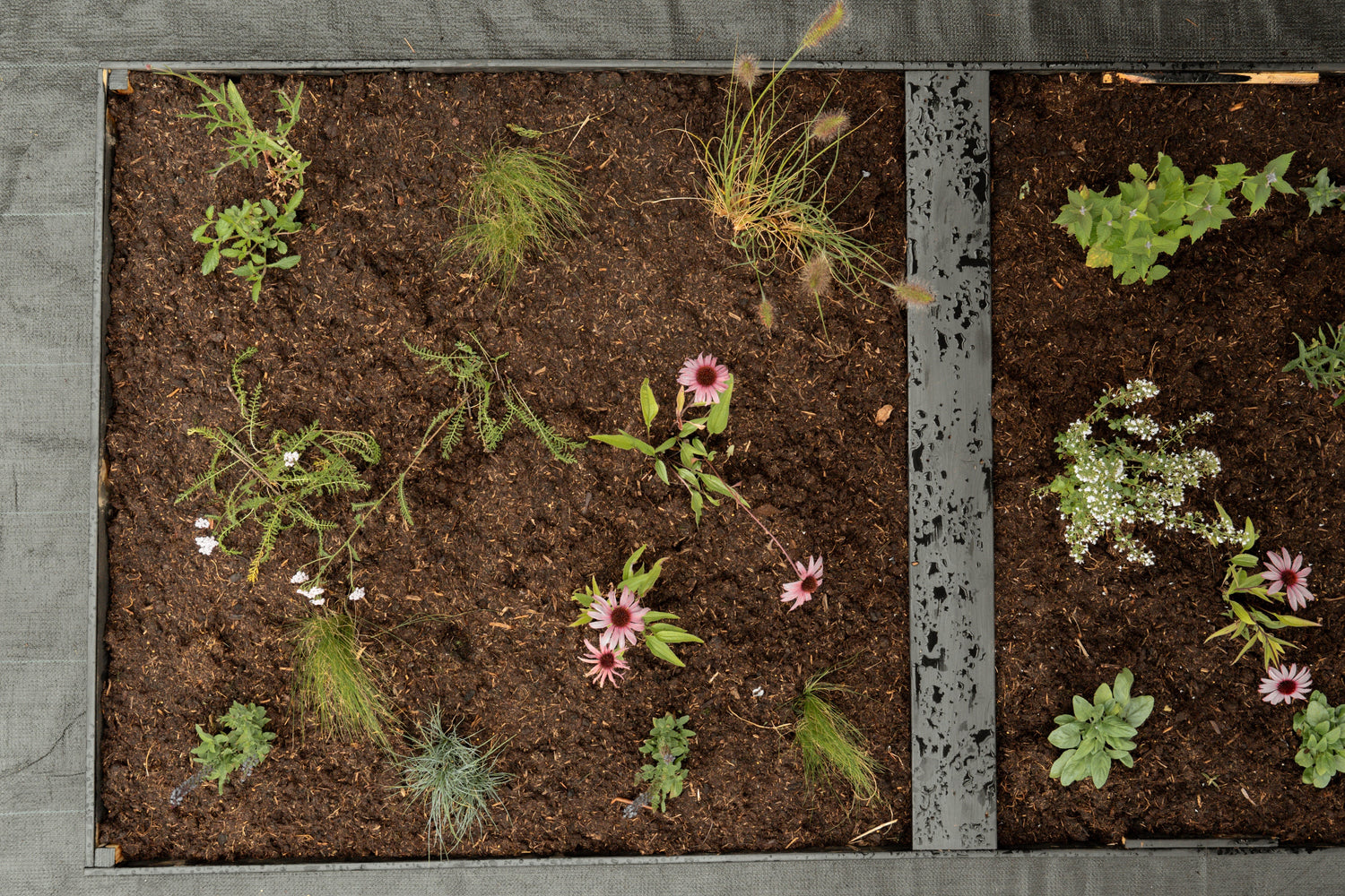 Borderpakket Kan wel wat hebben