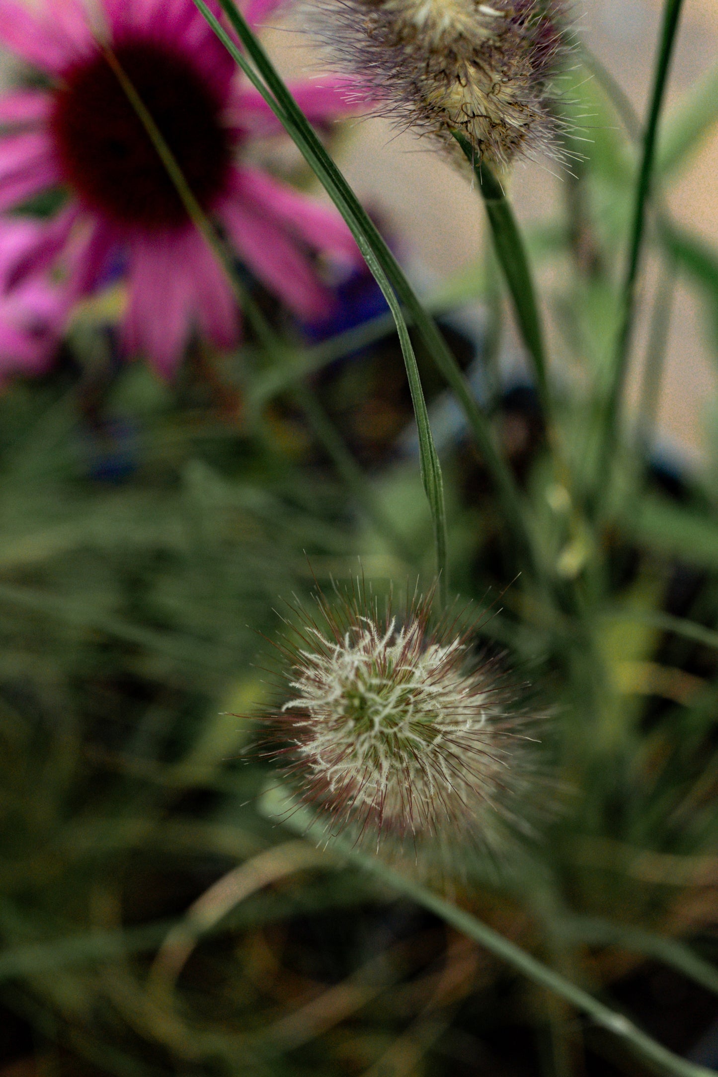Borderpakket Kan wel wat hebben