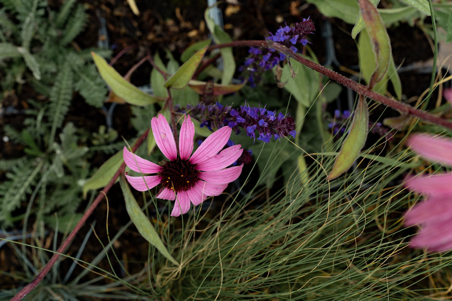 Borderpakket Kan wel wat hebben